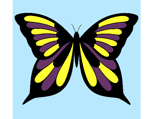 Dibujo Mariposa 19 pintado por hpna