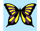 Dibujo Mariposa 19 pintado por hpna