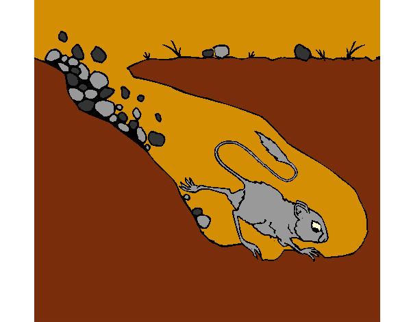 Dibujo Canguro rata pintado por hpna