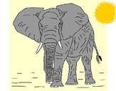 Dibujo Elefante 1 pintado por dikson