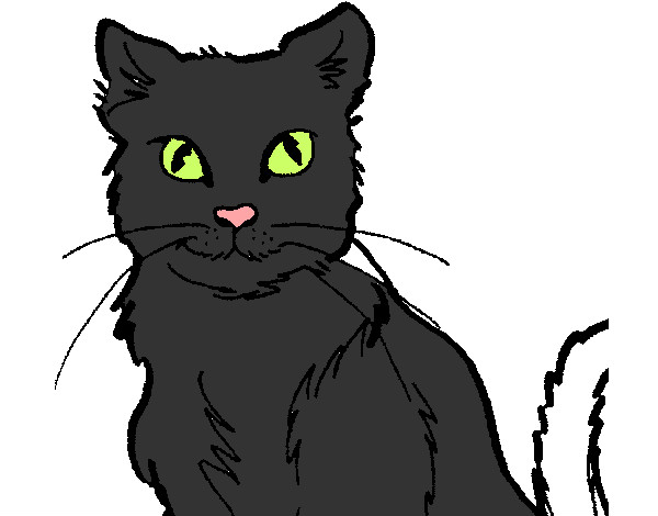 Dibujo Gato 2 pintado por soniart