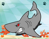 Dibujo Tiburón enfadado pintado por jitjat123