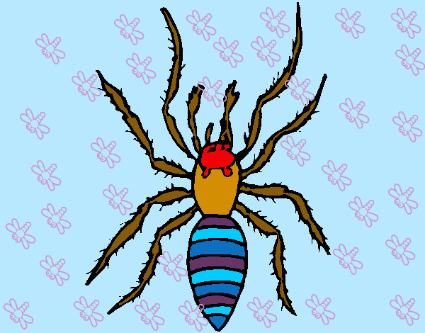 Dibujo Araña tigre pintado por BAUANTO