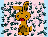 Dibujo Art el conejo pintado por nena2002