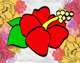 Dibujo Flor de lagunaria pintado por mrodriguez