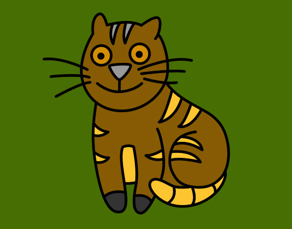 Dibujo Gato simpático pintado por patrocini 
