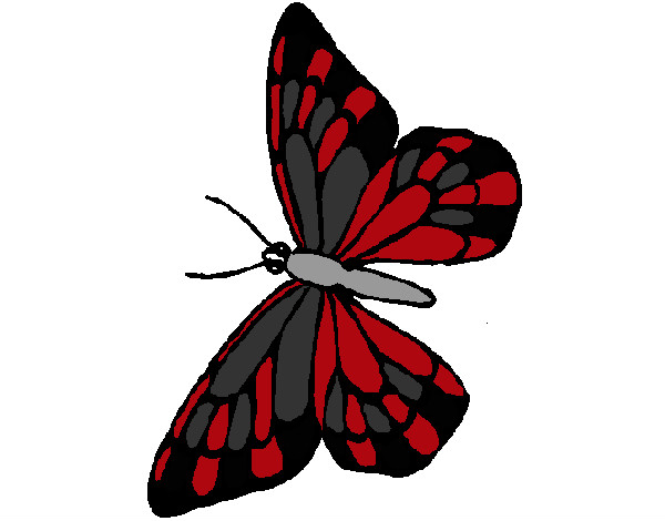 Dibujo Mariposa 10 pintado por spaida