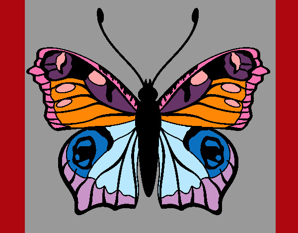 Dibujo Mariposa 20 pintado por pucca257