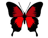 Dibujo Mariposa con alas negras pintado por spaida