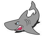 Dibujo Tiburón enfadado pintado por DIANAB