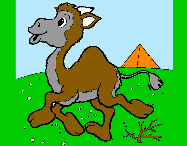 Dibujo Camello 1 pintado por Alerx05