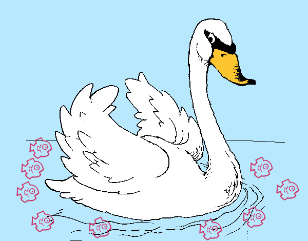 Dibujo Cisne en el agua pintado por manster