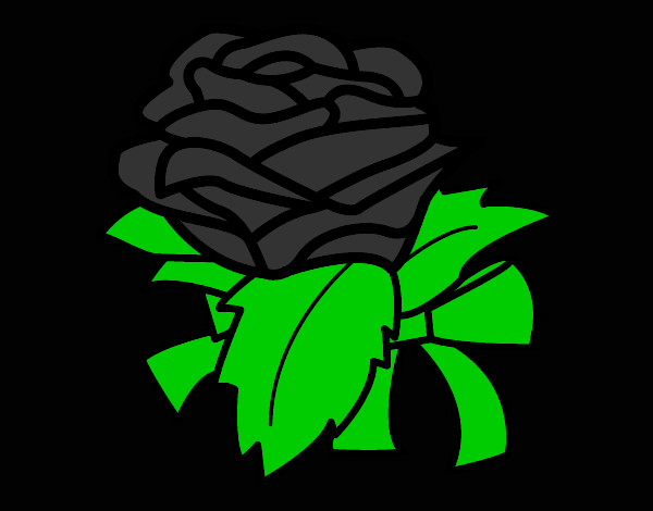 Dibujo Rosa, flor pintado por spaida
