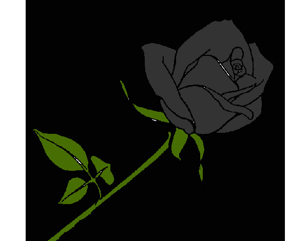 Dibujo Rosa pintado por spaida