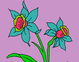 Dibujo Orquídea pintado por kattiiria 