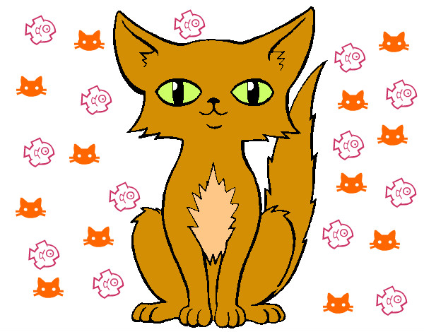 Dibujo Gato persa pintado por pinkigrama