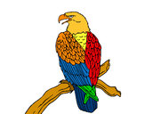 Dibujo Águila en una rama pintado por joseramon