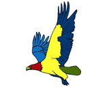Dibujo Águila volando pintado por joseramon