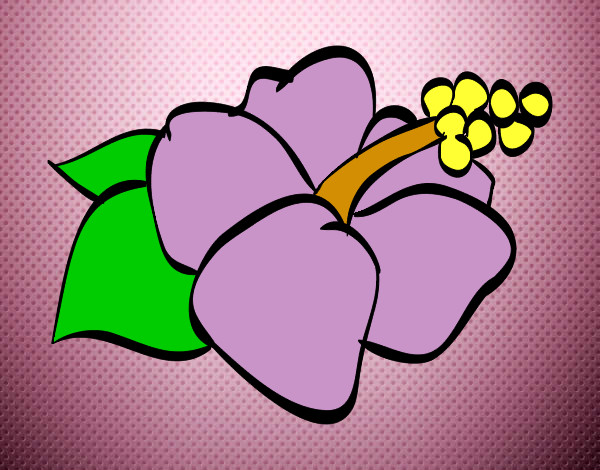 Dibujo Flor de lagunaria pintado por desy_17