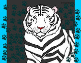 Dibujo Tigre 3 pintado por emo_