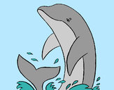 Dibujo Delfín chapoteando pintado por stephoran