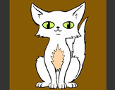 Dibujo Gato persa pintado por sheilafd