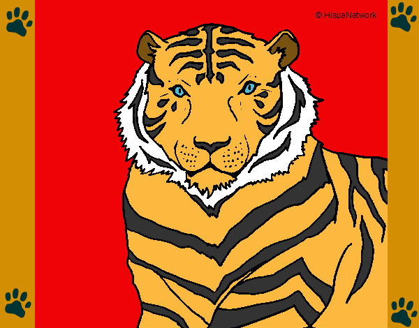Dibujo Tigre 3 pintado por Matu10