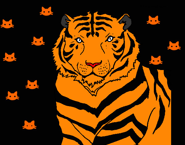 Dibujo Tigre 3 pintado por carlos_6
