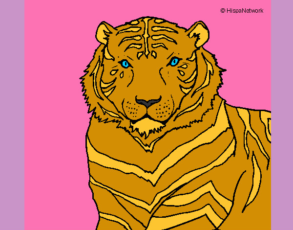 Dibujo Tigre 3 pintado por saritae