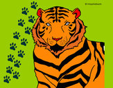 Dibujo Tigre 3 pintado por candesua
