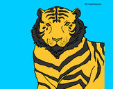 Dibujo Tigre 3 pintado por Lorenzo06