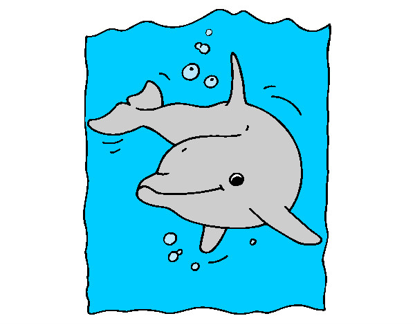 delfin nadando