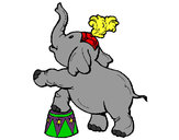 Dibujo Elefante pintado por belug