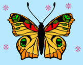 Dibujo Mariposa 20 pintado por Dibujos-nt