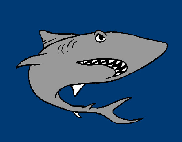 Tiburón