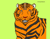 Dibujo Tigre 3 pintado por nidia-