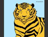 Dibujo Tigre 3 pintado por rafita854