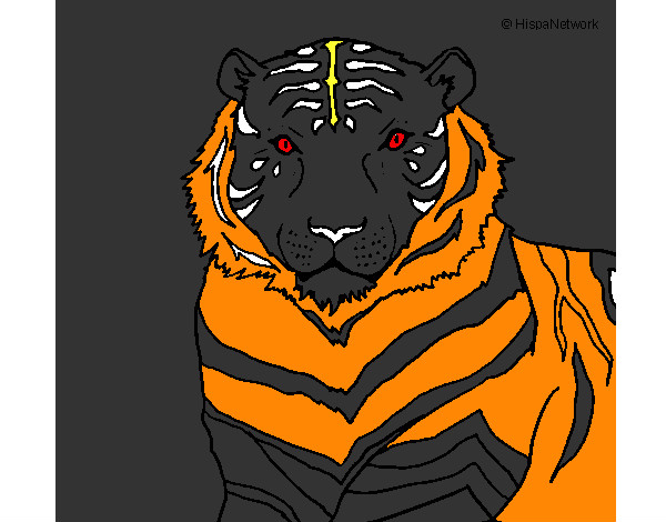 Dibujo Tigre 3 pintado por letya 