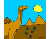 Dibujo Camello pintado por leonardo10