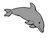 Dibujo Delfín contento pintado por ironman002
