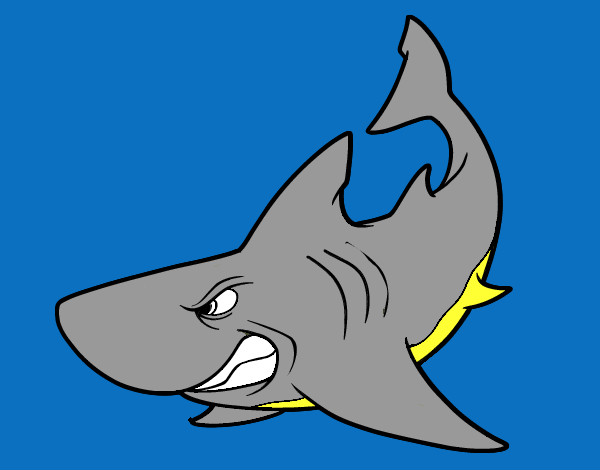 Dibujo Tiburón enfadado pintado por JEFTE