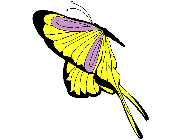 Dibujo Mariposa con grandes alas pintado por barbygerr