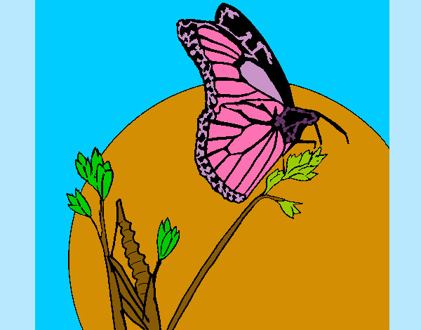 Dibujo Mariposa en una rama pintado por barbygerr