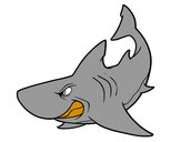 Dibujo Tiburón enfadado pintado por juandis