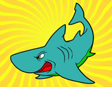 Dibujo Tiburón enfadado pintado por MaritorerG