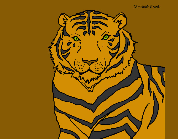 Dibujo Tigre 3 pintado por cristyan