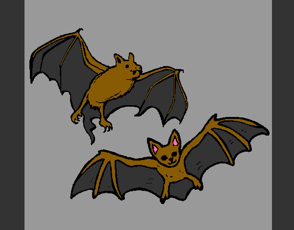 Dibujo Un par de murciélagos pintado por zoeliux