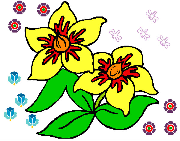 Dibujo Flores 3 pintado por llgc