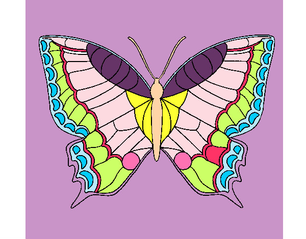 Dibujo Mariposa 16 pintado por yadira16