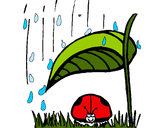 Dibujo Mariquita protegida de la lluvia pintado por AngieM